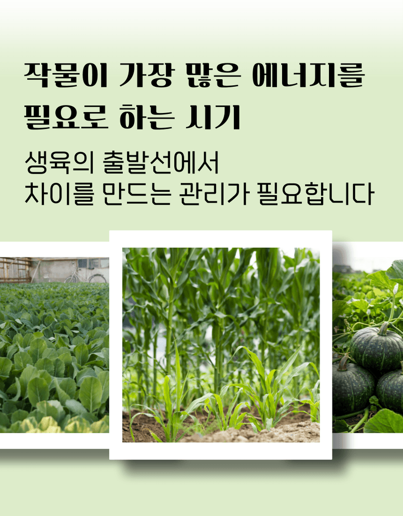 농업마켓365님의 장터 판매 상품 [멀티피드 부스터 2KG 20-20-20 엽면시비 전용비료 복합비료 식물영양제] 첨부 사진