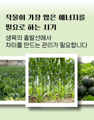 농업마켓365님의 작성글 사진