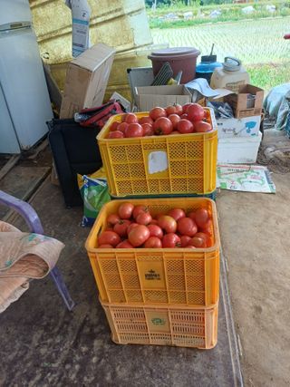 전원수님의 작성글 사진