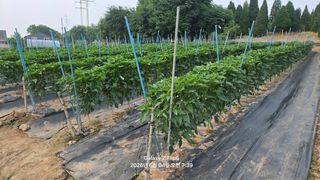 차상만님의 자유주제 · 자유게시판 작성글 사진