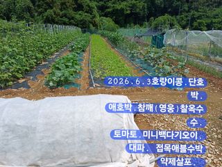 박성민님의 자유주제 · 자유게시판 작성글 사진