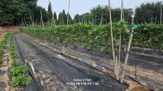 차상만님의 자유주제 · 자유게시판 작성글 사진