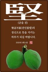 팜모닝 자유주제·자유게시판 게시글 이미지
