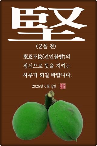정진해님의 자유주제·자유게시판 작성글 사진