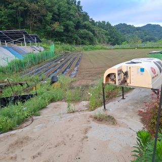 오영도님의 자유주제 · 자유게시판 작성글 사진