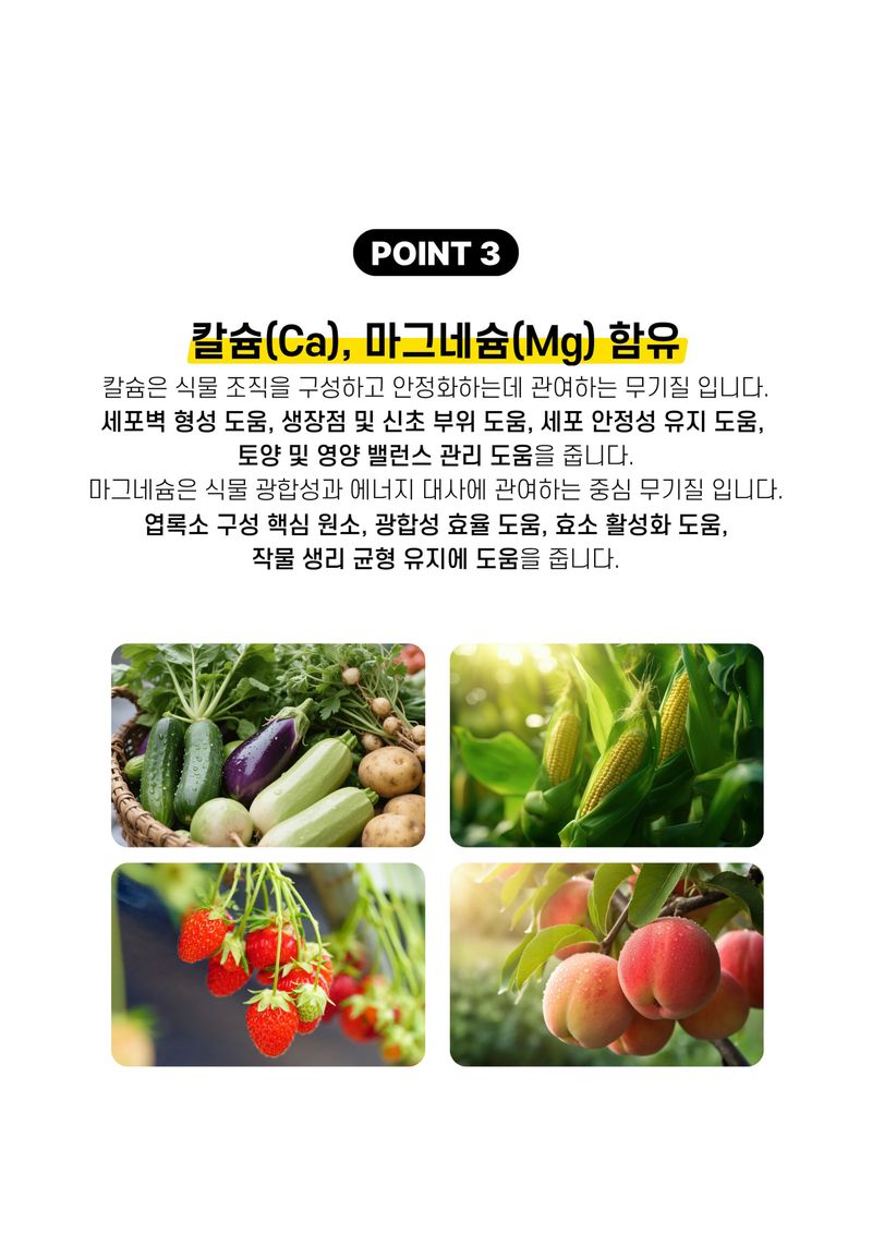 파머스케어님의 장터 판매 상품 [명품비대500ml 과수 시설재배 비대 수확량 당도 향상 관주 엽면시비 비료 구근비대 뿌리] 첨부 사진