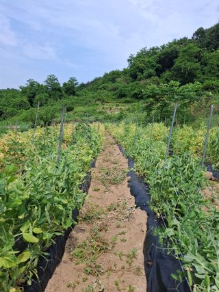오이18491님의 자유주제 · 자유게시판 작성글 사진