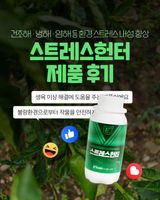 팜모닝 자유주제·자유게시판 게시글 이미지