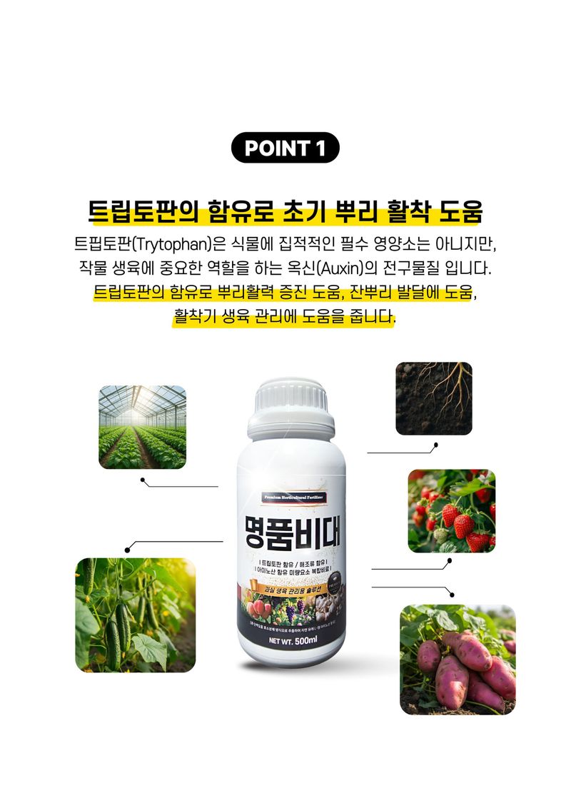 파머스케어님의 장터 판매 상품 [명품비대500ml 과수 시설재배 비대 수확량 당도 향상 관주 엽면시비 비료 구근비대 뿌리] 첨부 사진