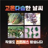 누보농장님의 자유주제·자유게시판 작성글 사진