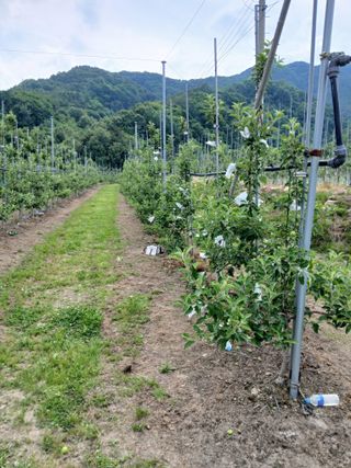 이상선님의 자유주제 · 자유게시판 작성글 사진