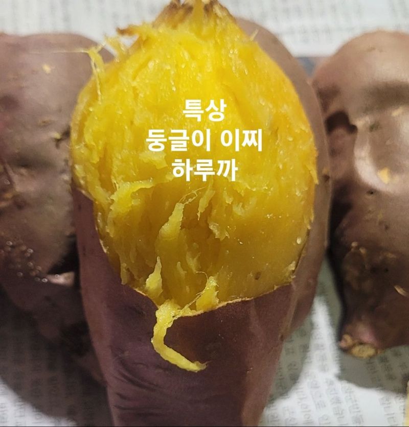 사랑꽃농장님의 장터 판매 상품 [특상) 이찌 하루까 고구마 10kg] 첨부 사진