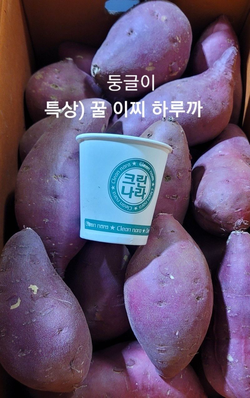 사랑꽃농장님의 장터 판매 상품 [특상) 이찌 하루까 고구마 10kg] 첨부 사진