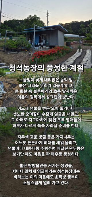Kns4324님의 자유주제 · 자유게시판 작성글 사진