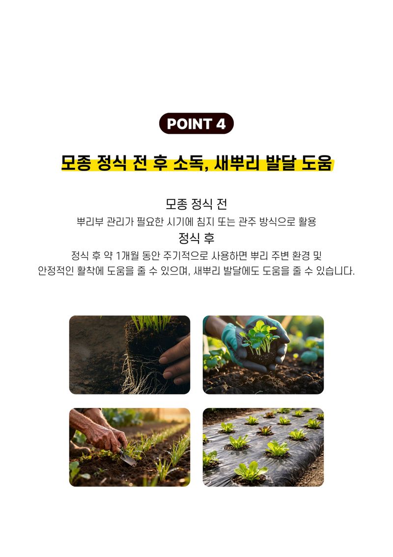 파머스케어님의 장터 판매 상품 [뿌리보약4L 관주비료 뿌리발근제 뿌리활착제 부식산 풀빅산 해조추출물 비료] 첨부 사진
