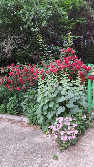 bpjh9173님의 자유주제 · 자유게시판 작성글 사진