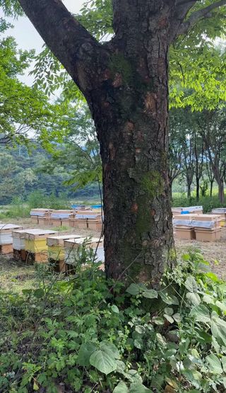 유미경님의 작성글 사진