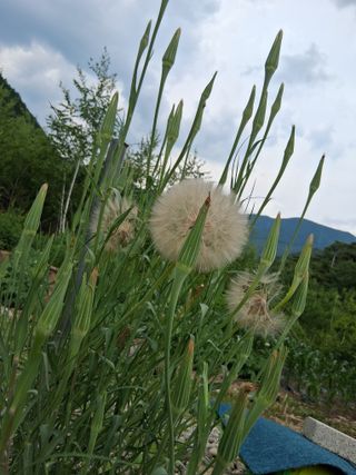 인생은 소풍처럼~님의 자유주제 · 자유게시판 작성글 사진