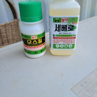 이창화님의 자유주제 · 자유게시판 작성글 사진