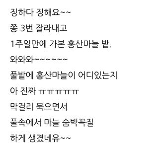 삼성농산님의 마늘 · 일상 작성글 사진