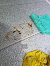 논산푸른팜님의 자유주제·자유게시판 작성글 사진