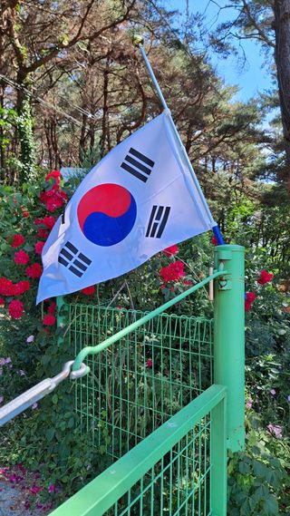 bpjh9173님의 자유주제·자유게시판 작성글 사진