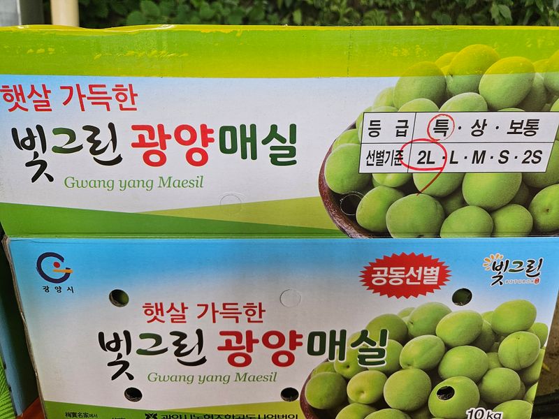 대봉매실 인생이막님의 장터 판매 상품 [광양매실 짱아찌 1통(1kg)] 첨부 사진