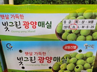 대봉매실 인생이막님의 작성글 사진