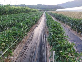 이창우님의 자유주제 · 자유게시판 작성글 사진
