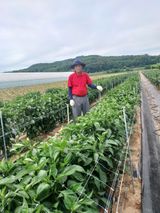 이창우님의 자유주제·자유게시판 작성글 사진