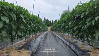 차상만님의 자유주제 · 자유게시판 작성글 사진