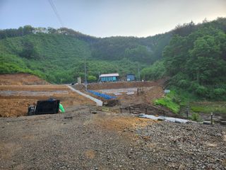 곰실이님의 자유주제 · 자유게시판 작성글 사진