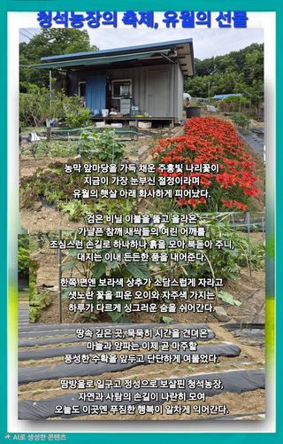Kns4324님의 자유주제 · 자유게시판 작성글 사진