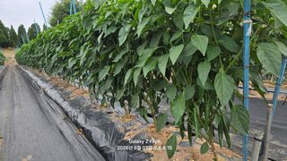 차상만님의 자유주제 · 자유게시판 작성글 사진