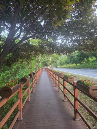 최동수님의 자유주제 · 자유게시판 작성글 사진