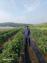 이창우님의 자유주제·자유게시판 작성글 사진