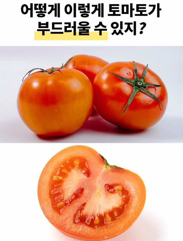 자두14488님의 장터 판매 상품 [완숙토마토 10kg 달콤함이 입안 가득퍼진는 ] 첨부 사진