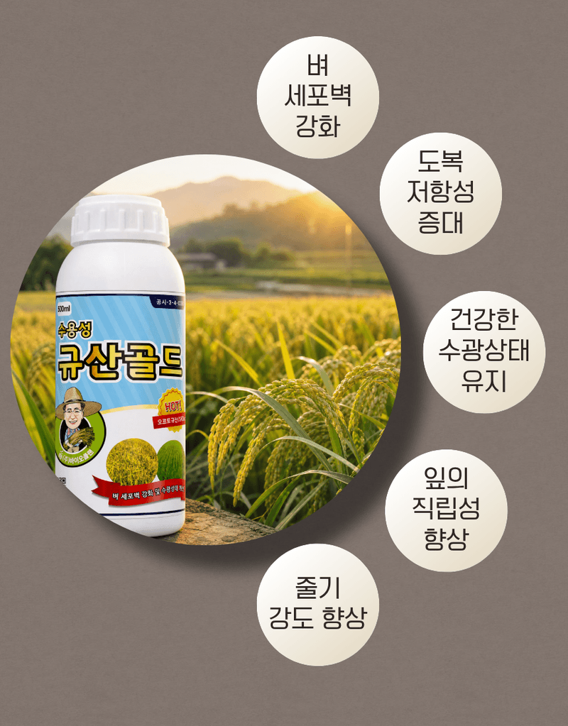 농업마켓365님의 장터 판매 상품 [규산골드 액제 1L 수도작비료 벼전용 도복경감 규산비료 미질향상 항공방제] 첨부 사진