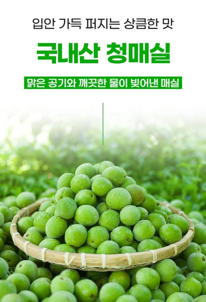 자두14488님의 장터 판매 상품 [청매실 10kg 입안 가득 퍼지는 상큼한 맛] 첨부 사진