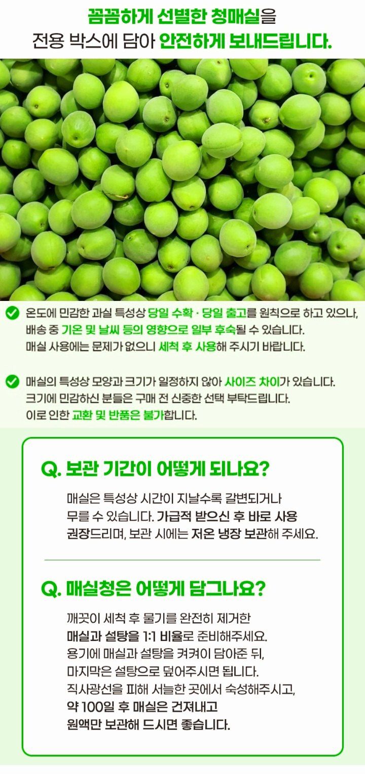자두14488님의 장터 판매 상품 [청매실 10kg 입안 가득 퍼지는 상큼한 맛] 첨부 사진