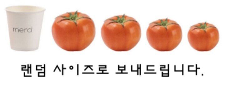 자두14488님의 장터 판매 상품 [완숙토마토 10kg 달콤함이 입안 가득퍼진는 ] 첨부 사진
