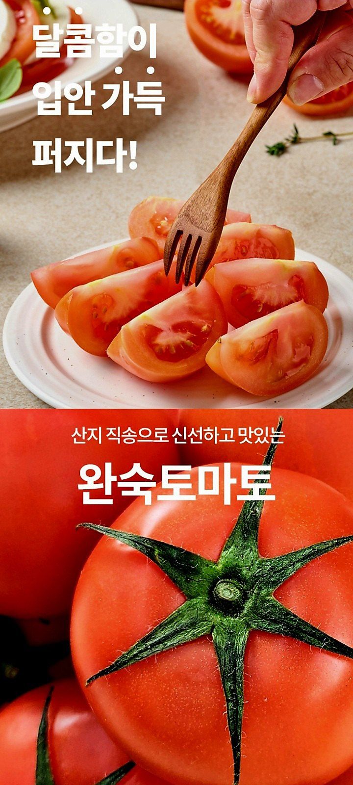 자두14488님의 장터 판매 상품 [완숙토마토 10kg 달콤함이 입안 가득퍼진는 ] 첨부 사진