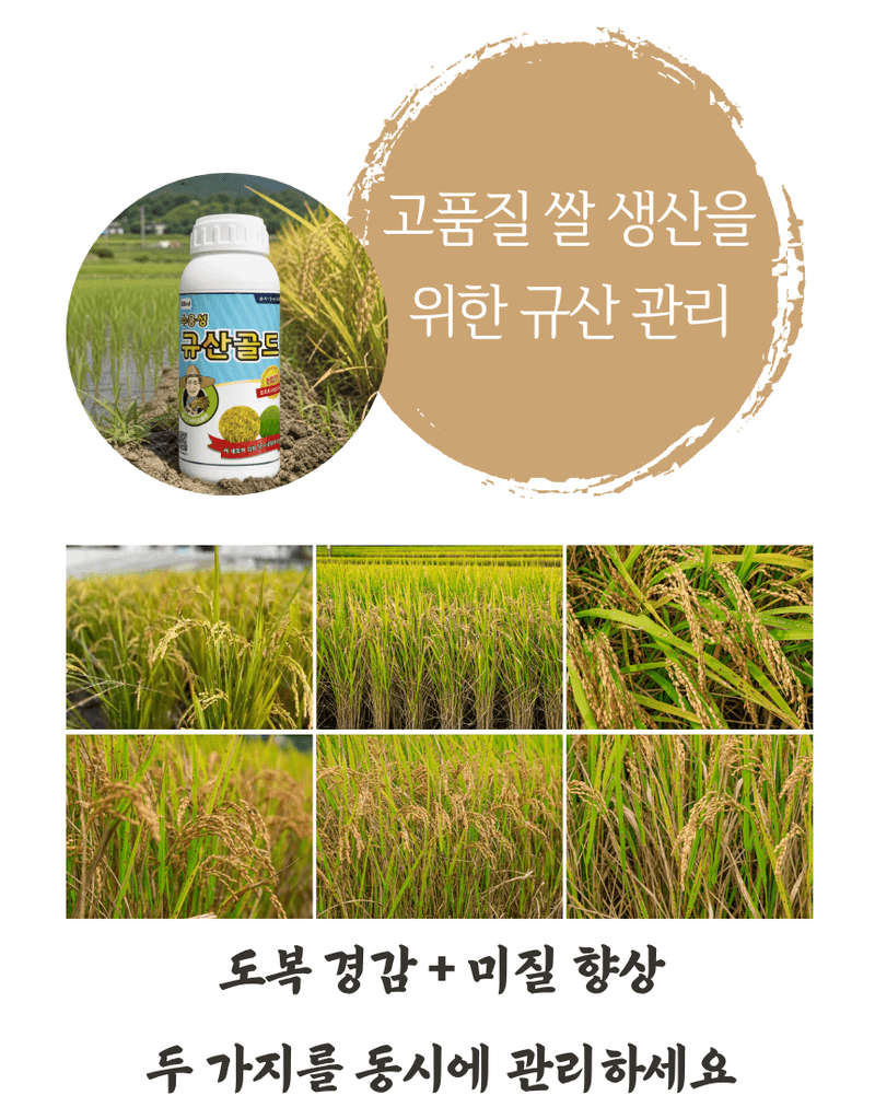 농업마켓365님의 장터 판매 상품 [규산골드 액제 1L 수도작비료 벼전용 도복경감 규산비료 미질향상 항공방제] 첨부 사진