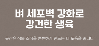 농업마켓365님의 작성글 사진