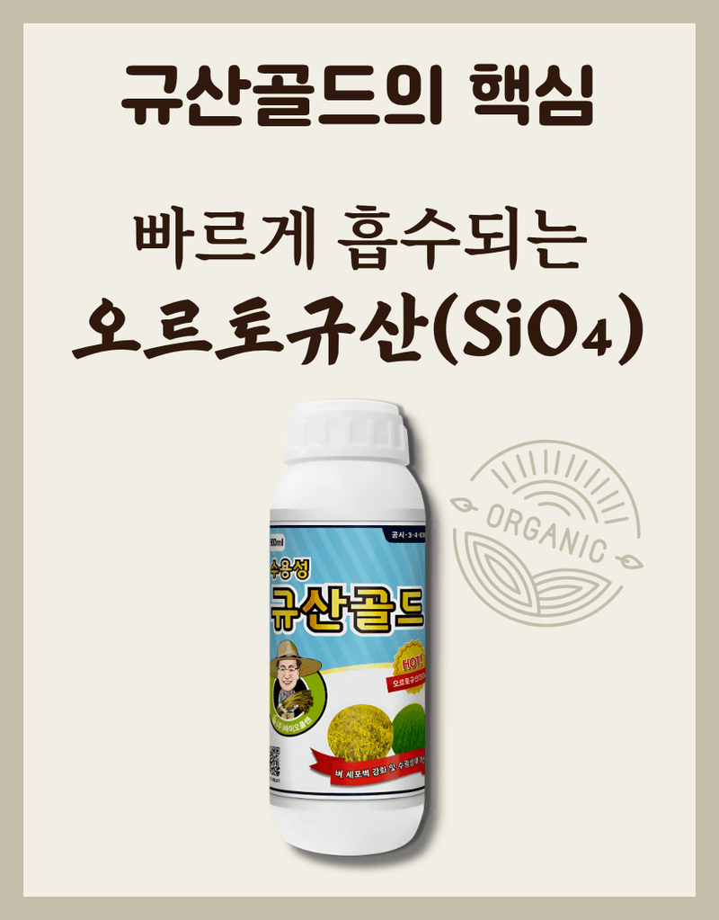 농업마켓365님의 장터 판매 상품 [규산골드 액제 1L 수도작비료 벼전용 도복경감 규산비료 미질향상 항공방제] 첨부 사진