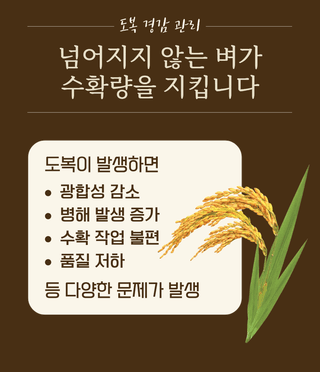 농업마켓365님의 작성글 사진