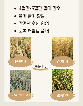 농업마켓365님의 작성글 사진