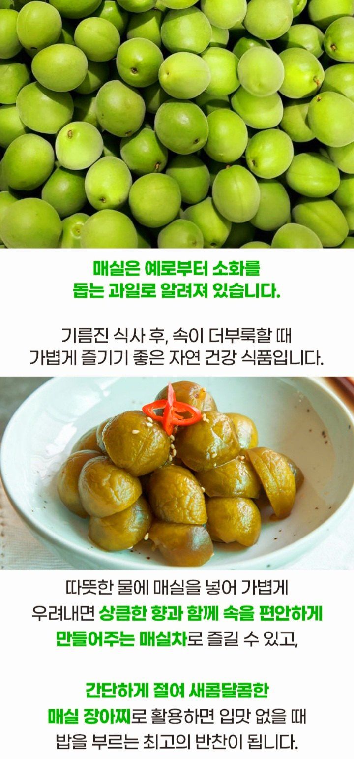 자두14488님의 장터 판매 상품 [청매실 10kg 입안 가득 퍼지는 상큼한 맛] 첨부 사진