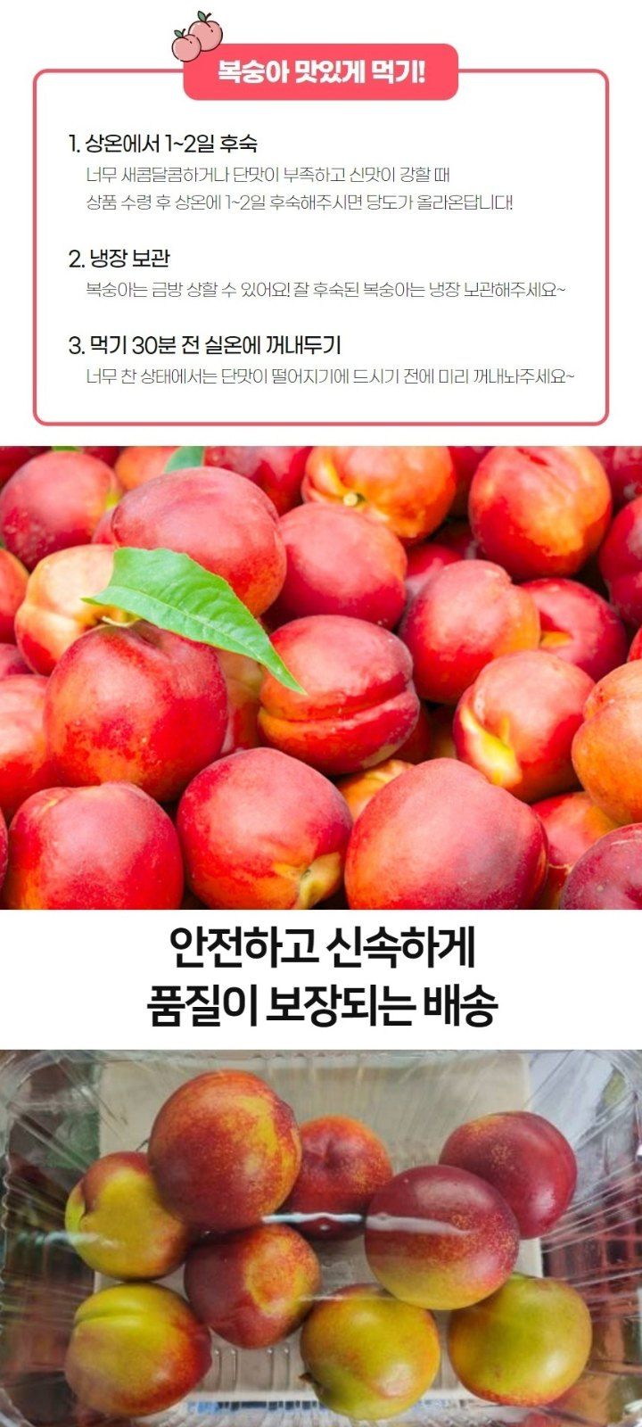자두14488님의 장터 판매 상품 [천도복숭아 3kg 중과] 첨부 사진