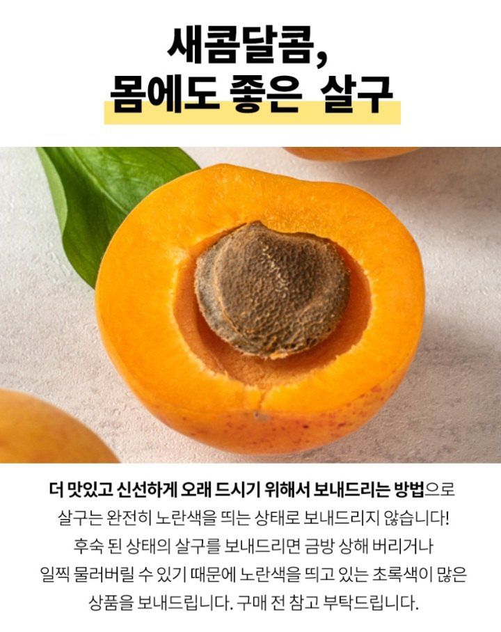 자두14488님의 장터 판매 상품 [살구 4kg 여름제철 과일] 첨부 사진